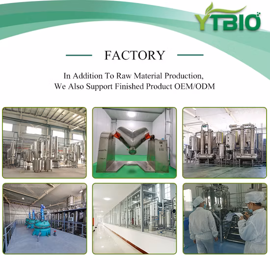 Extracto de nuez de agalla, ácido tánico de grado farmacéutico de alta calidad